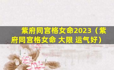 紫府同宫格女命2023（紫府同宫格女命 大限 运气好）